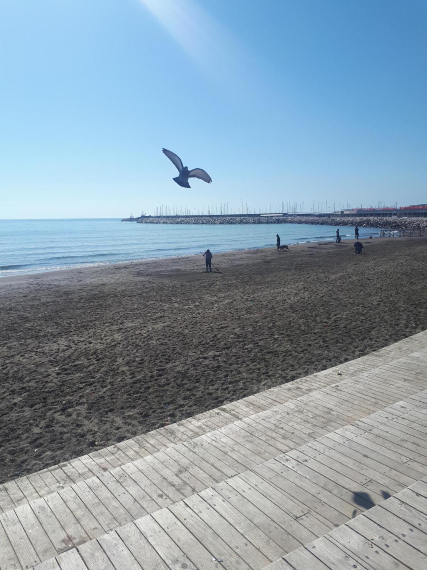 Salerno Centraal Apartment Bagian luar foto